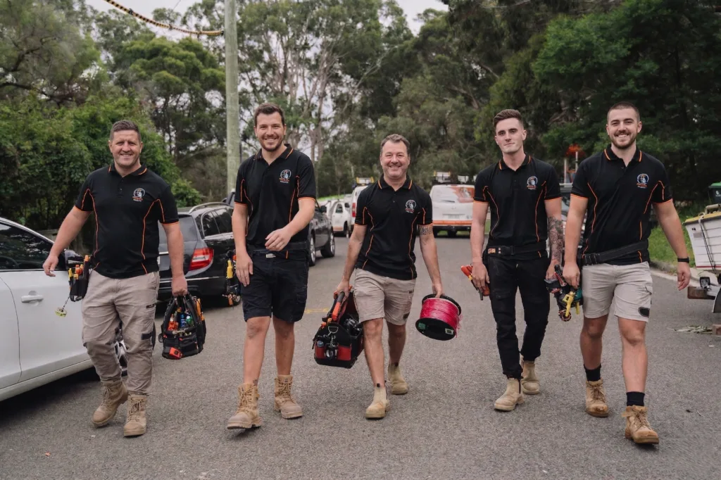 Professional electrical services in Annangrove